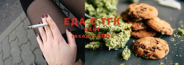 прущие грибы Вязьма