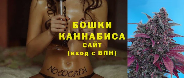 прущие грибы Вязьма