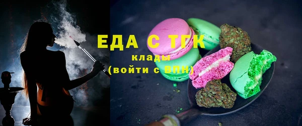 прущие грибы Вязьма