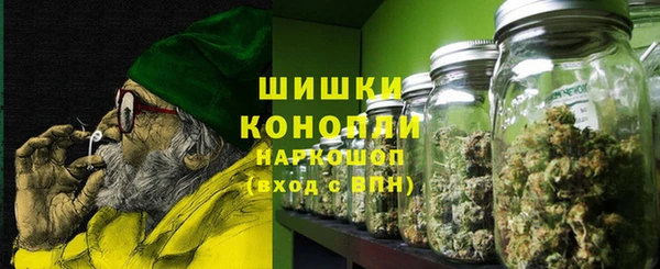 прущие грибы Вязьма