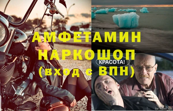 прущие грибы Вязьма