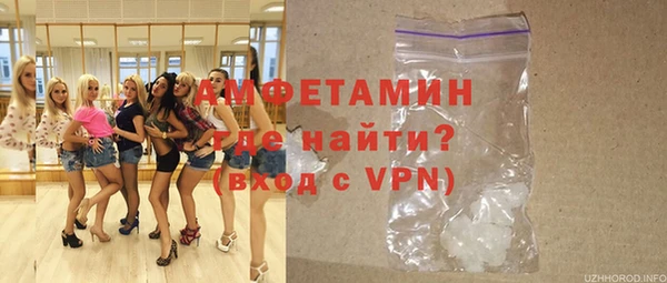 прущие грибы Вязьма