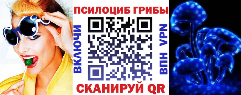 Галлюциногенные грибы Cubensis  Купить  Нарткала 